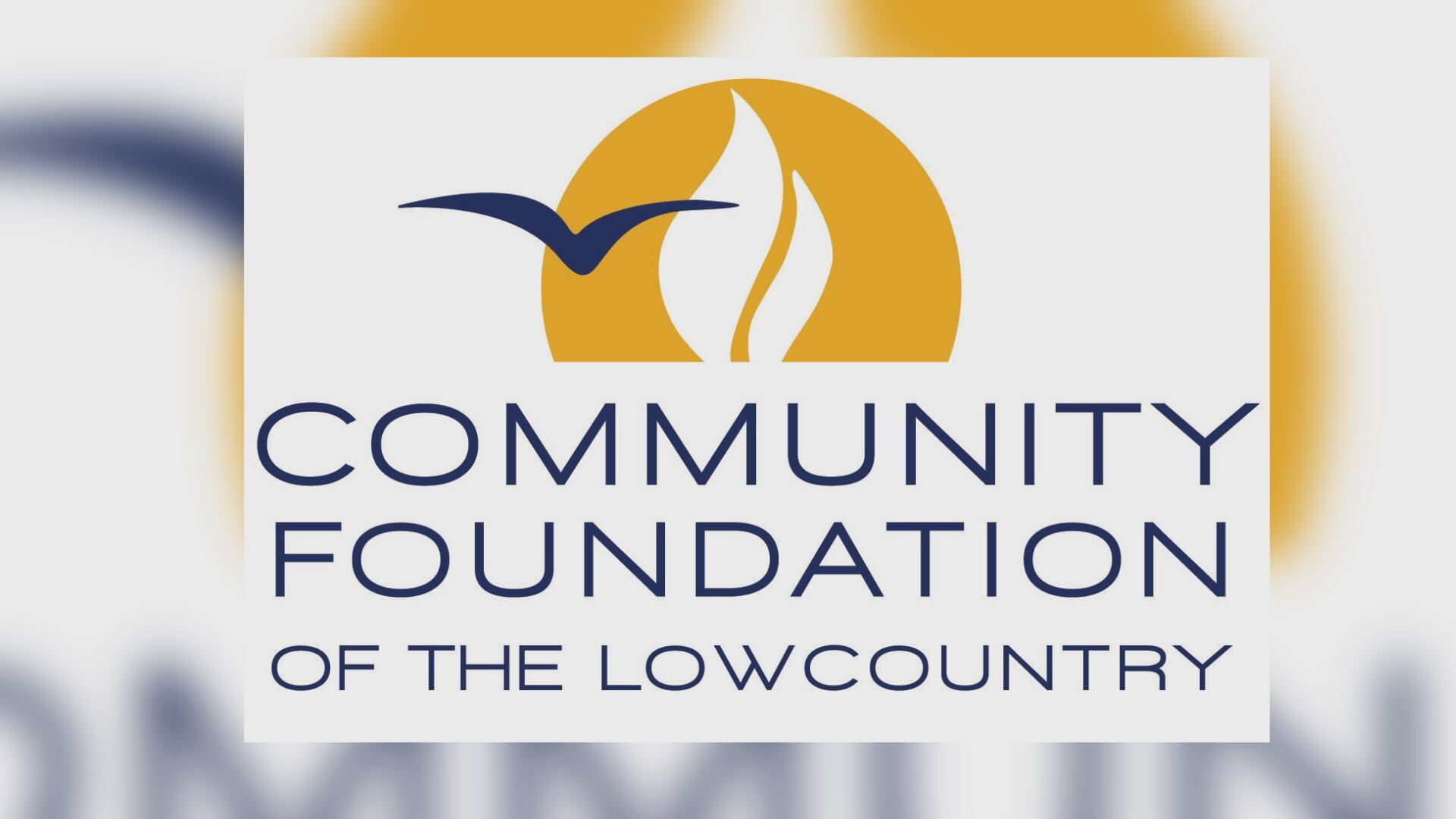 Community Foundation awards more than $304,000 in impact grants to ...