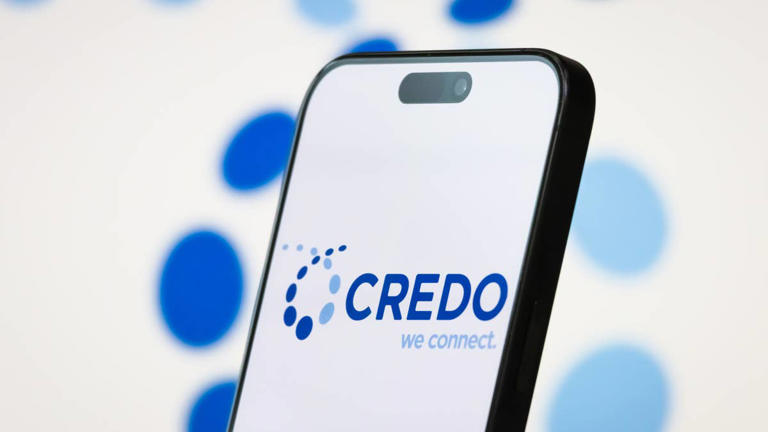 Wall Street analysts are mixed but generally positive on Credo stock
