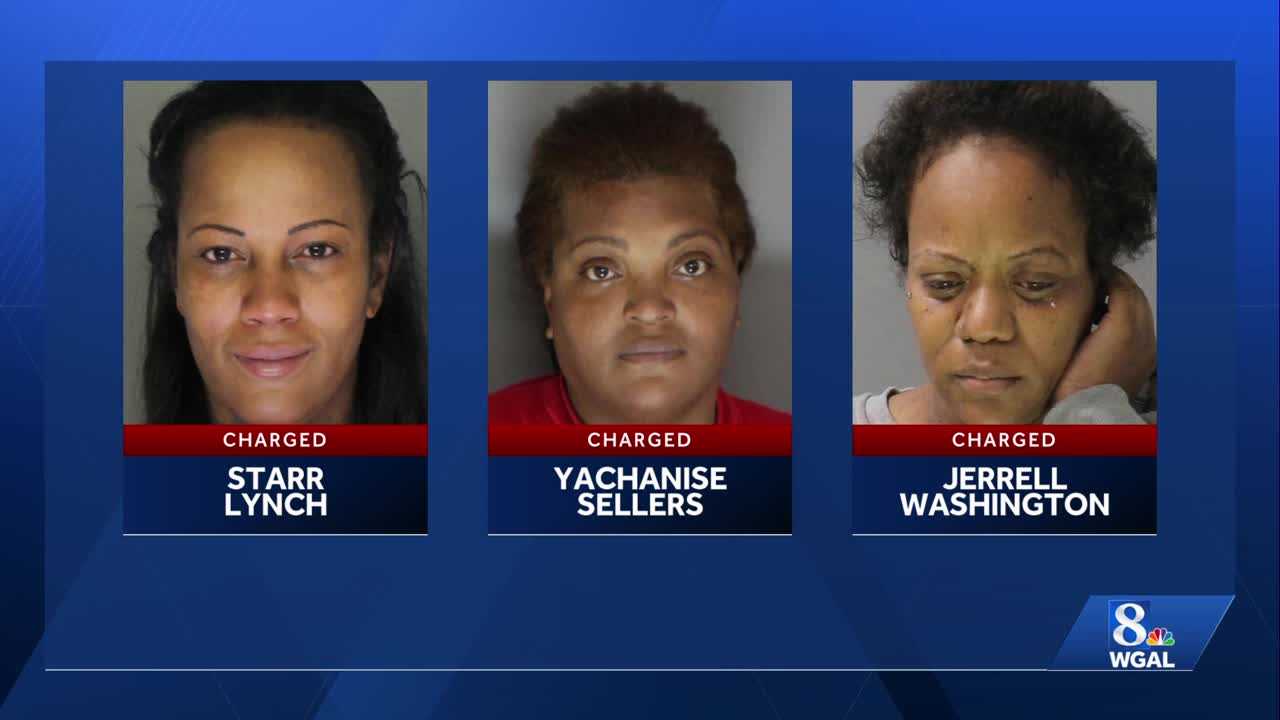 Swatara Township police charged 3 adults, 3 juveniles with disorderly ...