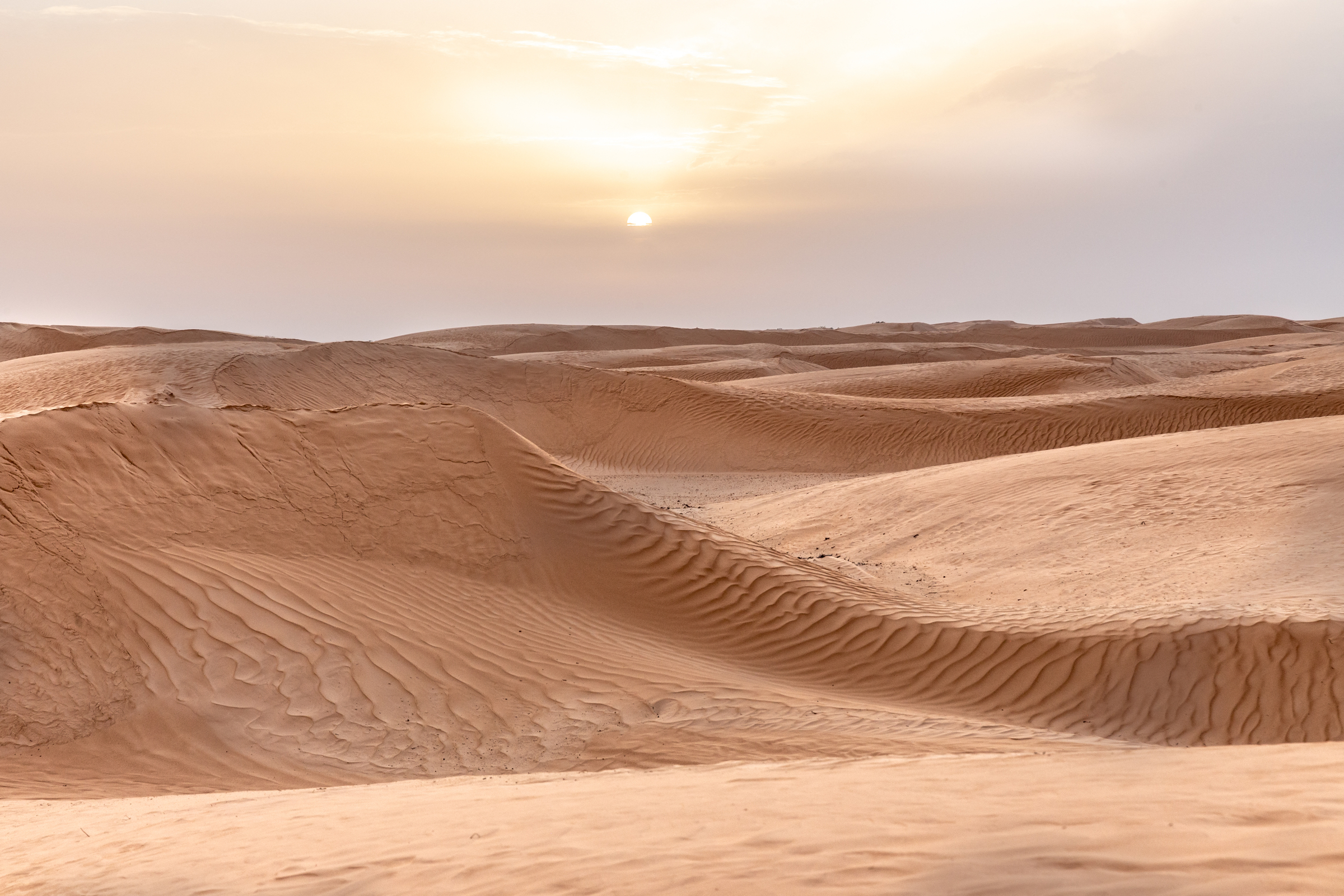 Gần 50 người chết khát giữa sa mạc Sahara
