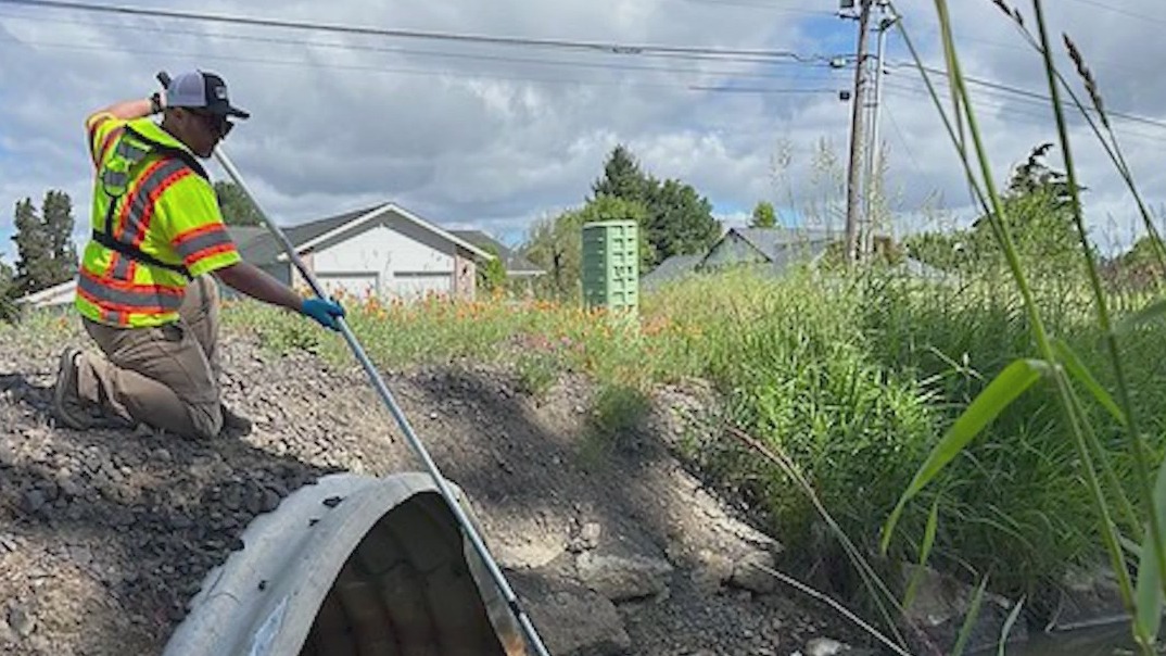 Environmental testing finds no ongoing threat from Longview chemical ...