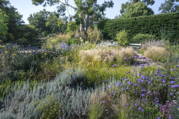 Required reading: ‘The Gravel Garden’ demystifies dry gardening