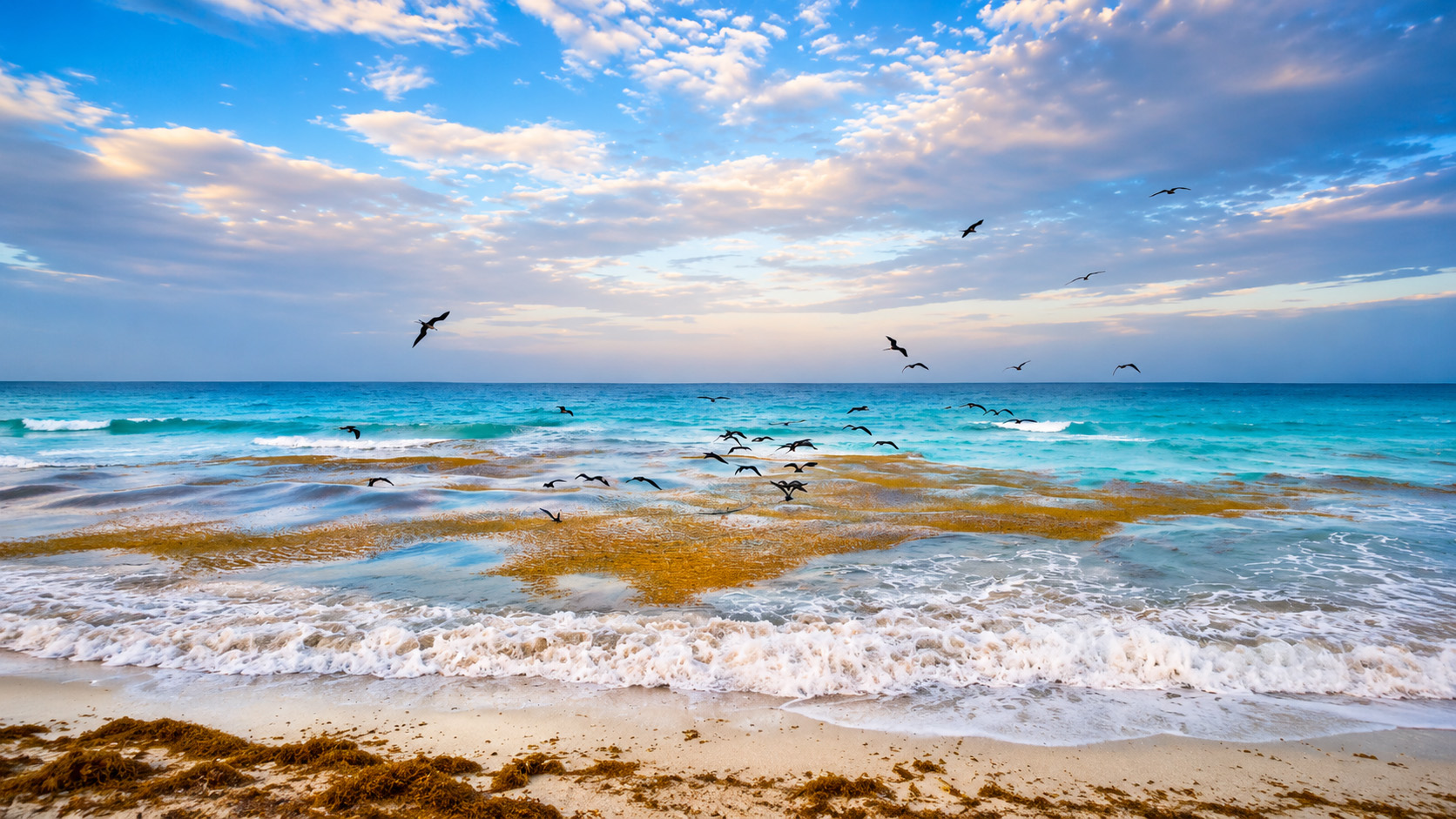 seabirds-flying-low-above-rolling-ocean-waves