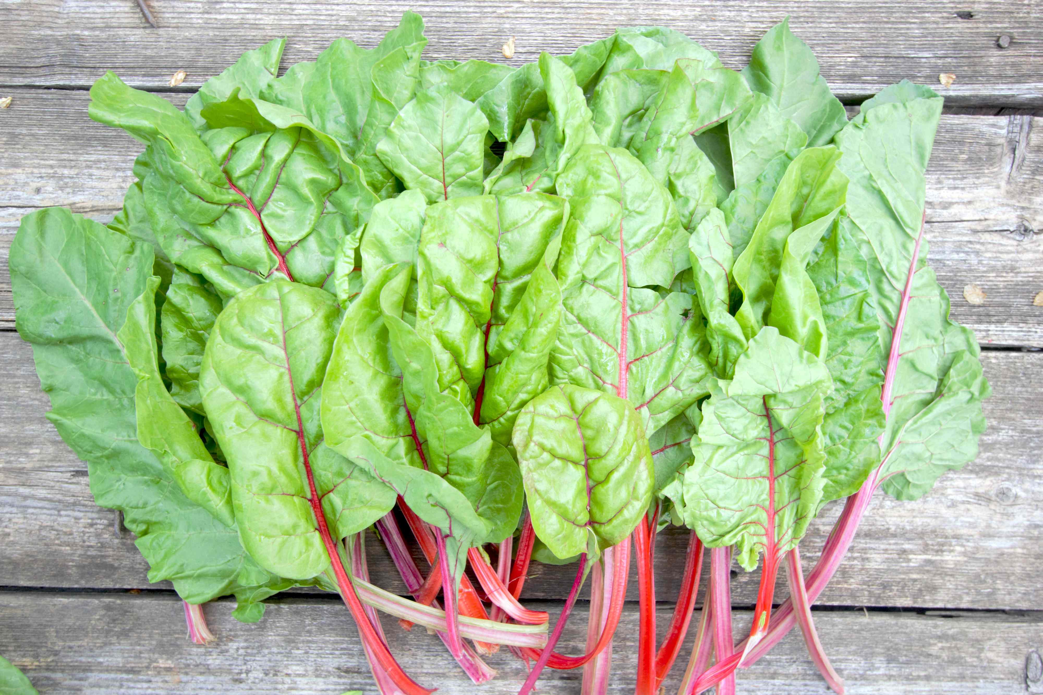 5 foods with more nutrients than lettuce