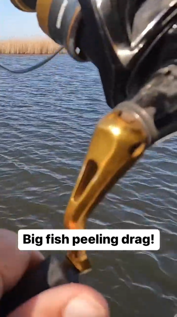 The best sound in fishing
