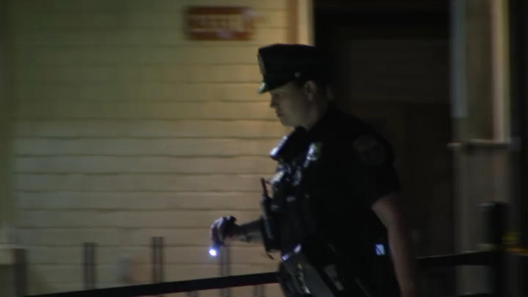 Police: Pizza delivery driver shot dead after being lured to North ...