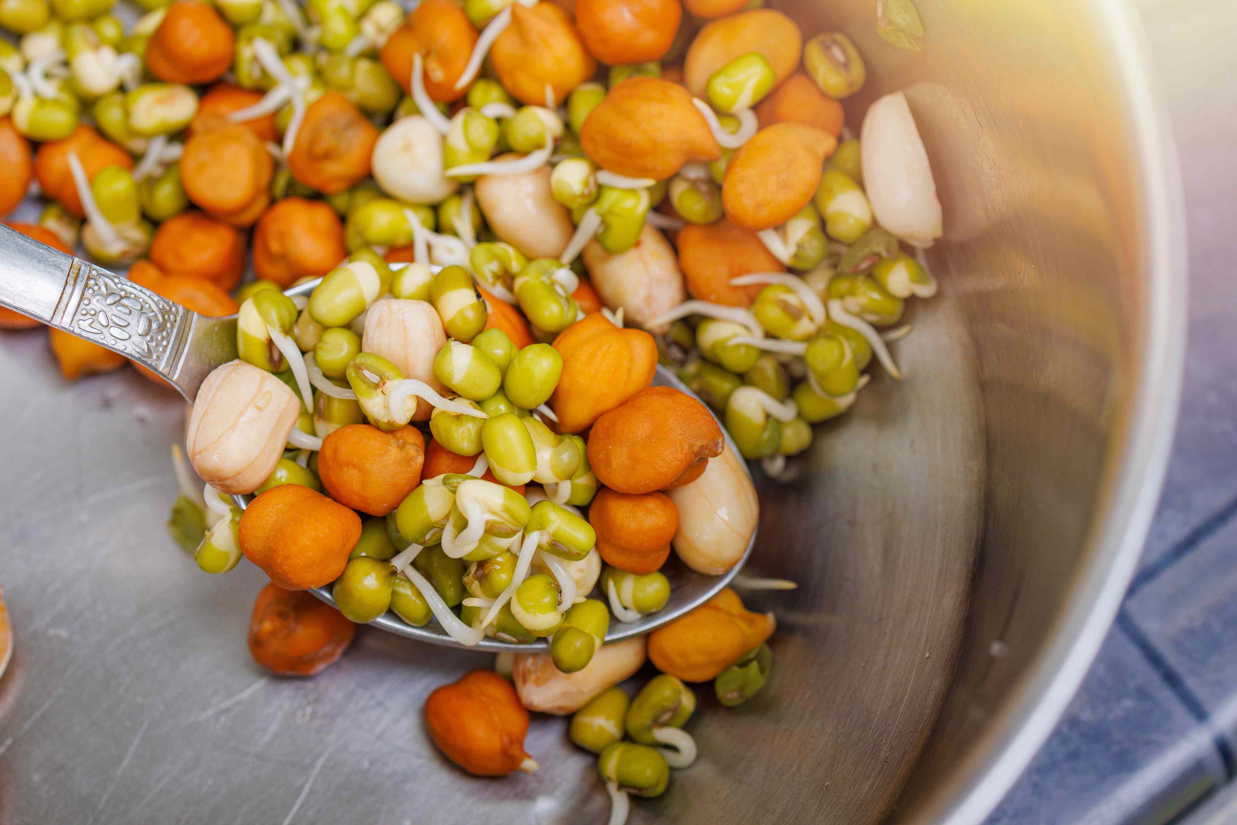 Dietitians say eating sprouted beans will give you fiber without the bloat