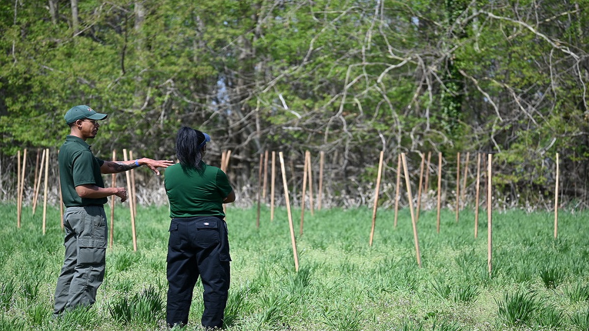 Newtowne Neck Gains Wider Riparian Buffer for Water Quality