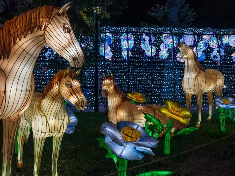 philadelphia-chinese-lantern-festival-returns-with-over-1k-new