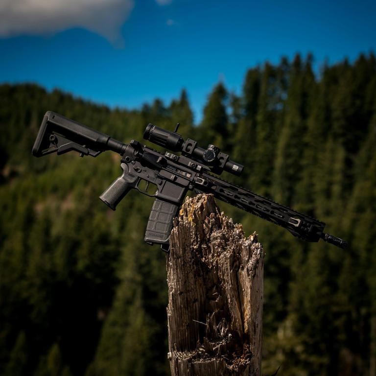 Why the AR-15 keeps showing up in hunting camps despite every argument ...