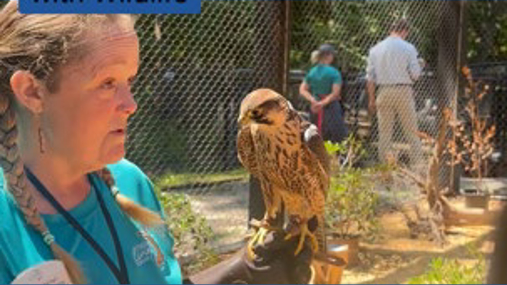 Virginia Living Museum celebrates 60th, but its mission goes beyond ...