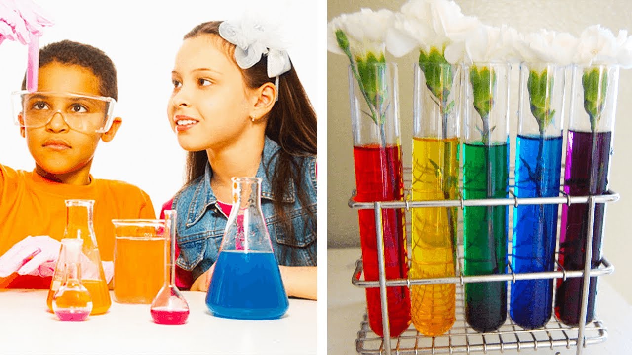 12 crazy cool DIY science experiments | Easy and fun activities by Blossom