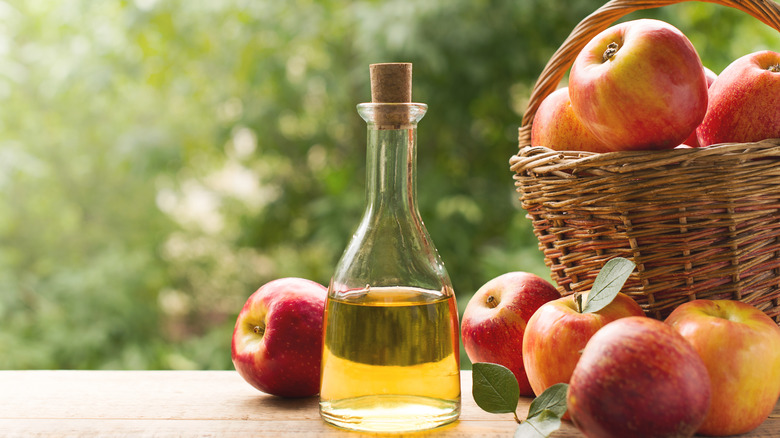 Everything you wanted to know about apple cider vinegar