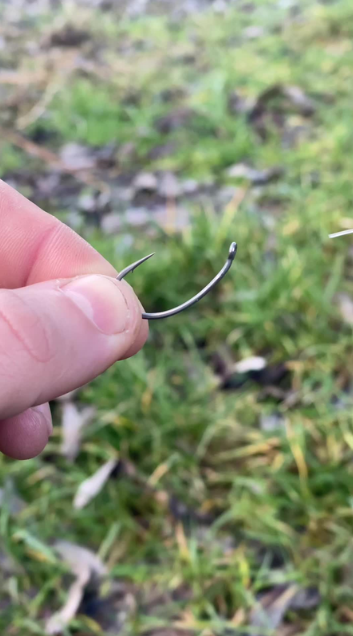 This carp rig setup works every time