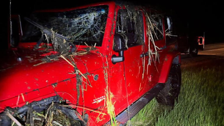 Driver arrested for DUI after vehicle rolls into slough in Ransom County