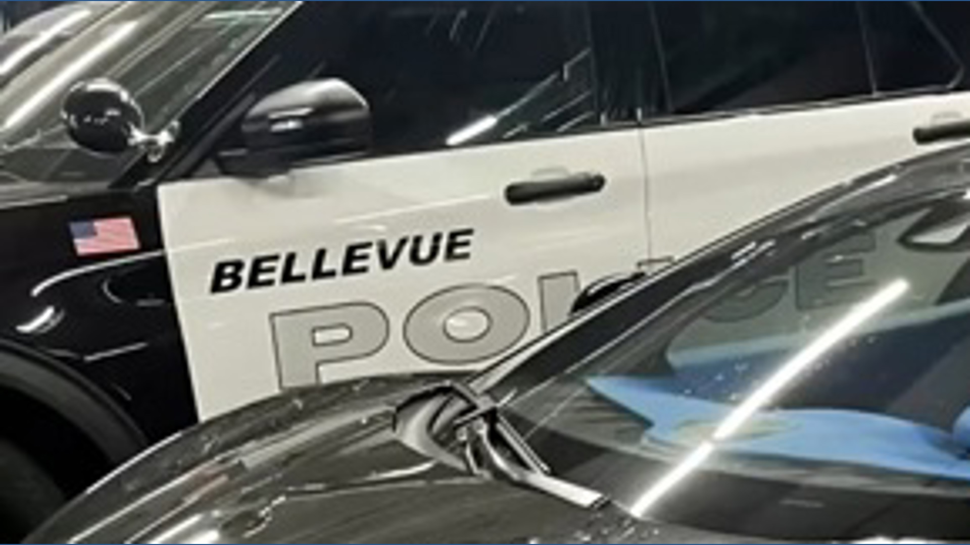 Bellevue human trafficking investigation