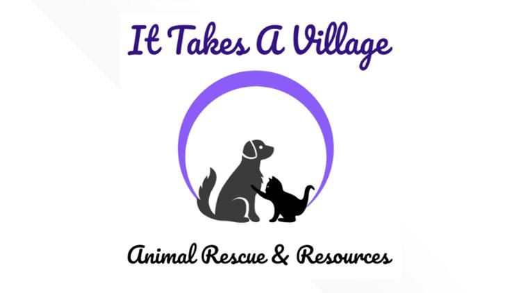Muscatine's It Takes a Village to close animal rescue and clinic