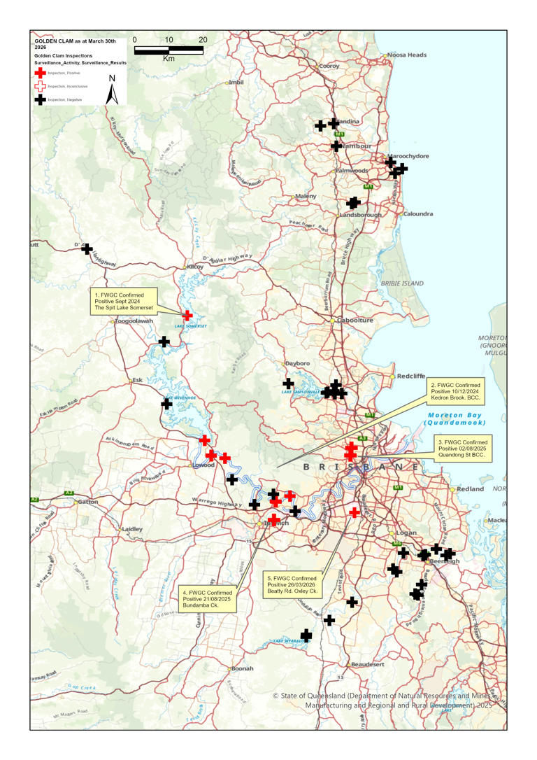 Warning as invasive species 'spreading like fire' through Aussie waterways