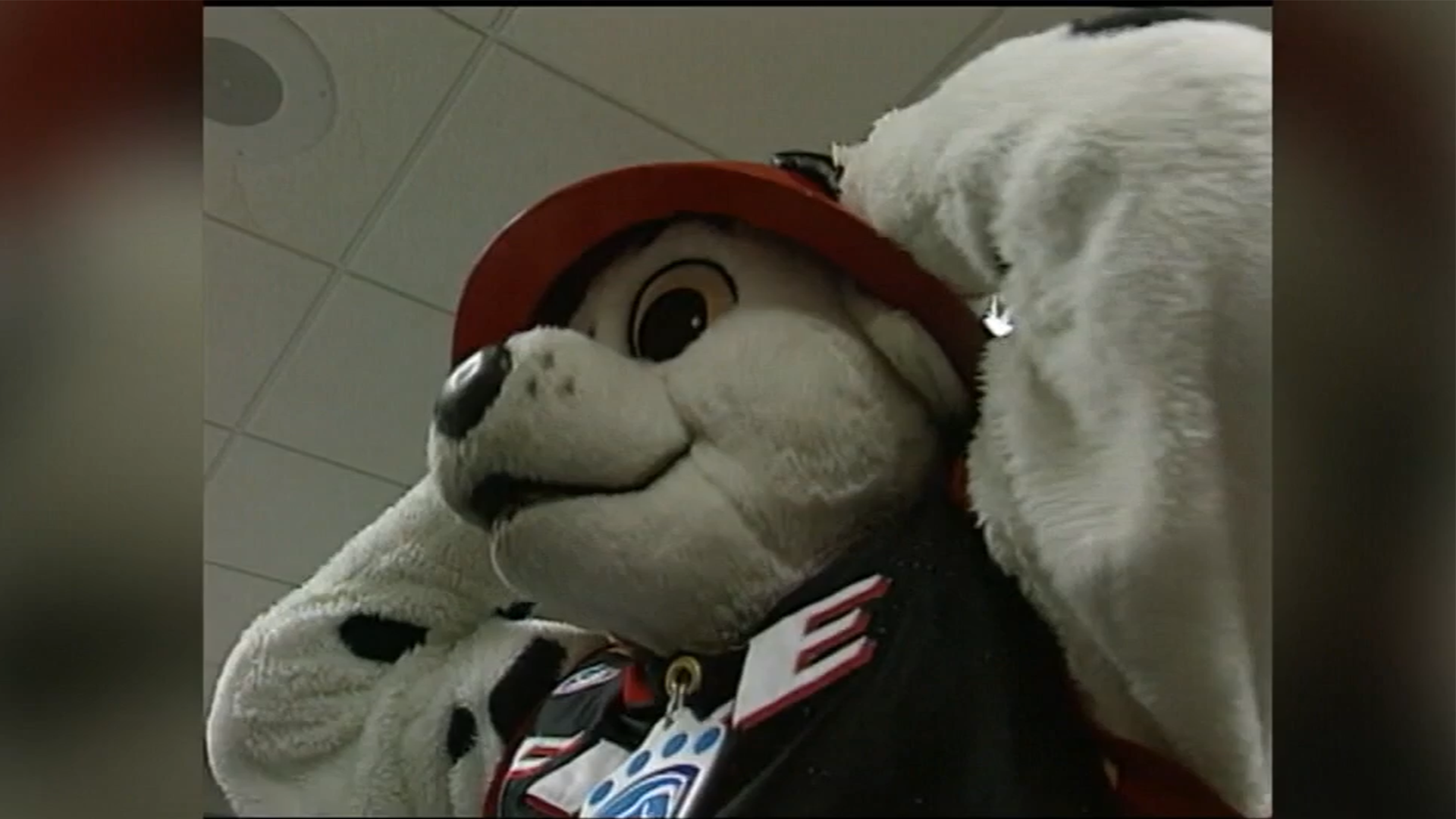 Portland Fire begin search for potential mascot
