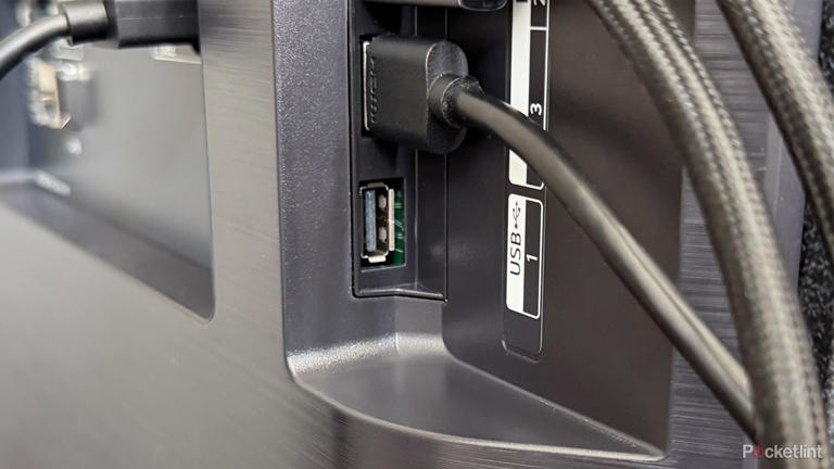 There are only 3 things you should use your TV's USB port for
