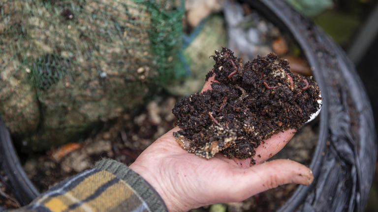 Not leftover food: The overlooked garage scrap you could be adding to ...