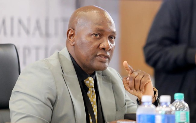 Domino effect: The senior cops brought down by the Madlanga Commission