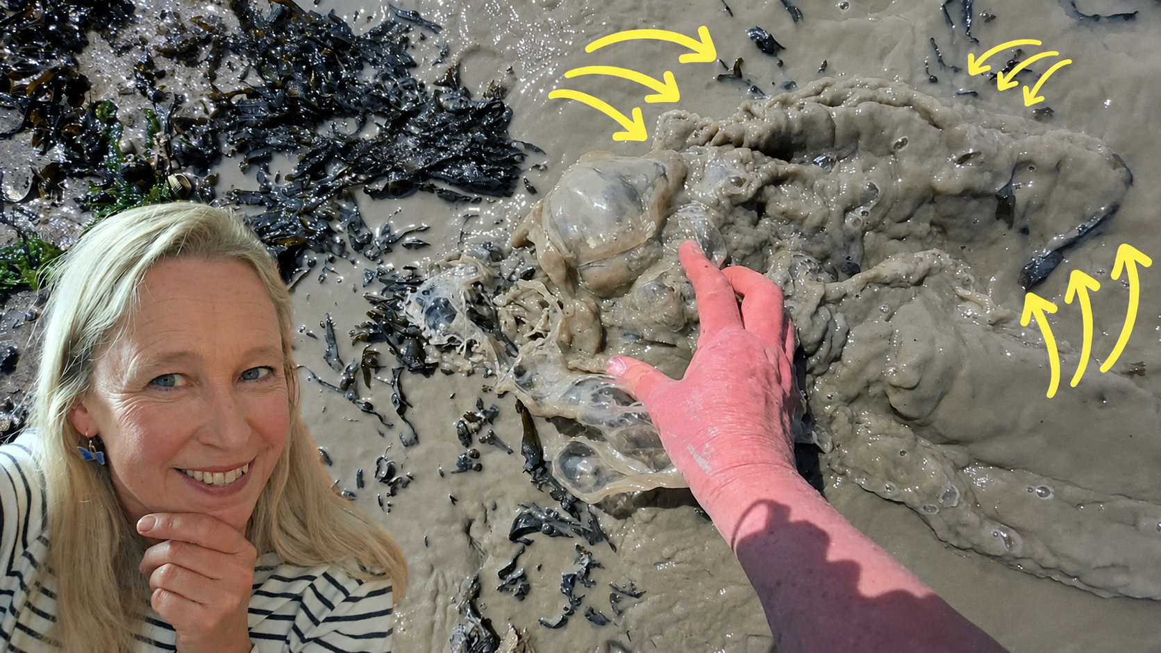 This Victorian message was waiting 150 years in the mud