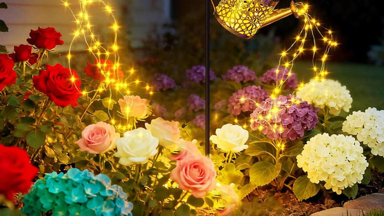Amazon's 'beautiful' $18 solar watering can lights add a 'whimsical ...