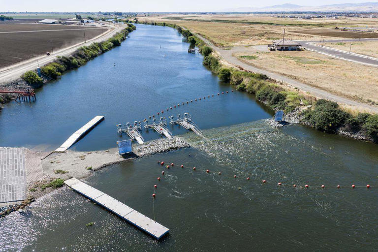 See summertime Delta barriers go up as wildlife officials OK future ...