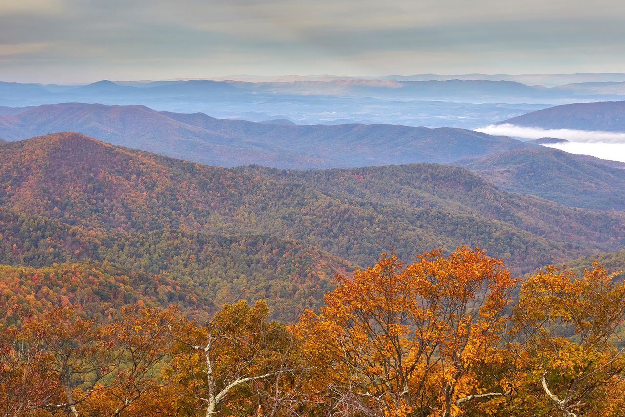 Mountain landscape with forested hills and distant ridges