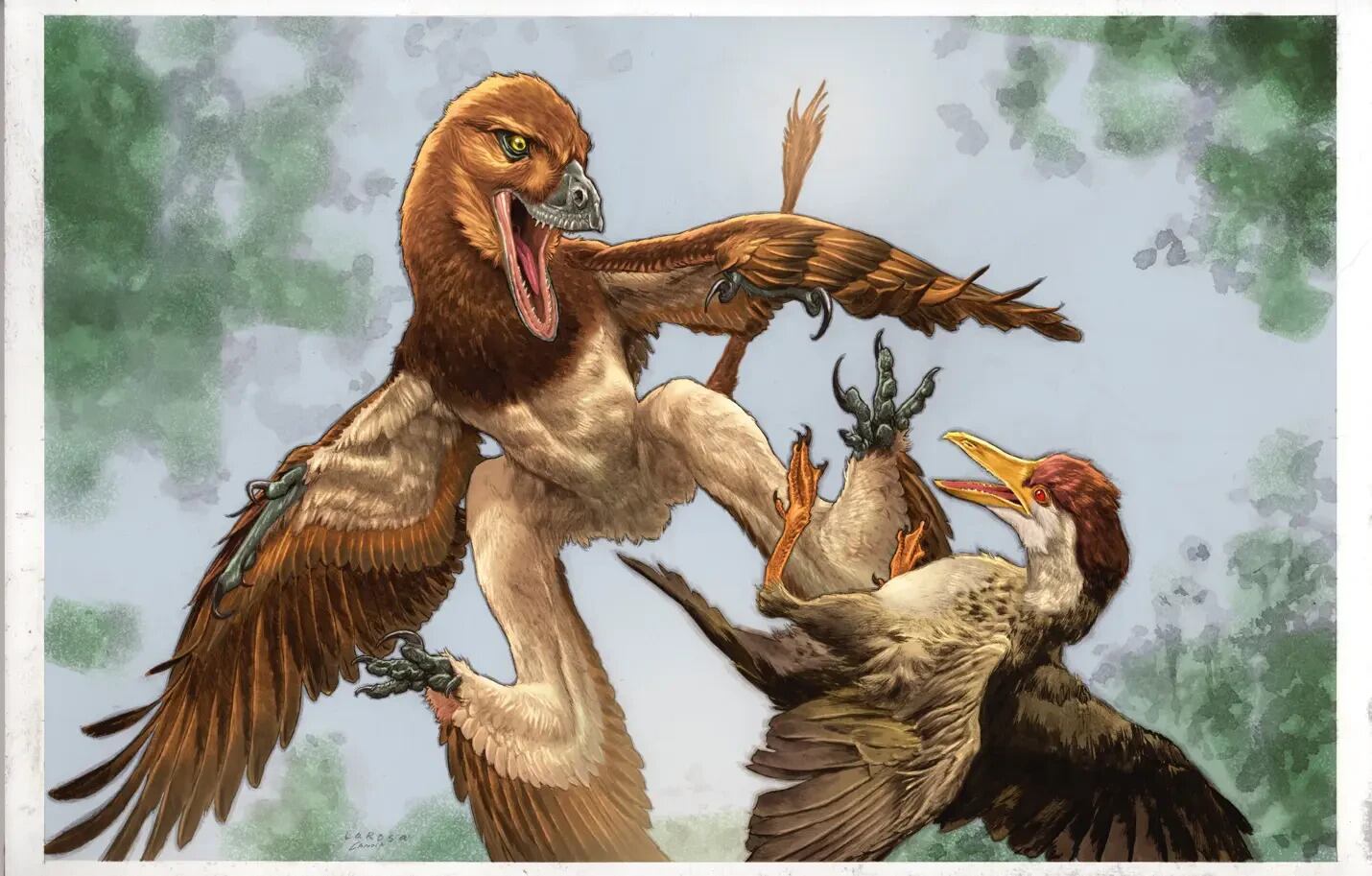 Descubren una especie de dinosaurio, pariente del velociraptor, que ...