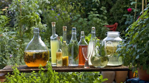 Aus Wein oder Obstresten: Essig selbst herstellen: Mit diesen Tipps ...