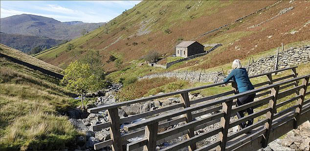 Mr Brett's proposals quickly became a flashpoint in the Lakes’ growing row over second homes and holiday lets