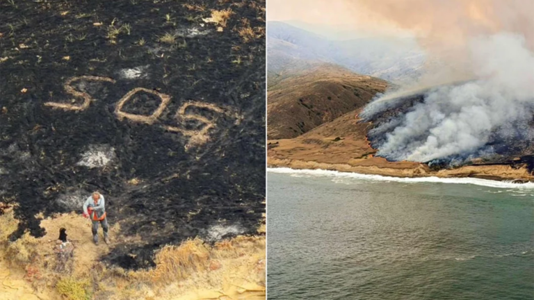 NASA images show fire damage across Santa Rosa Island, raising concerns ...
