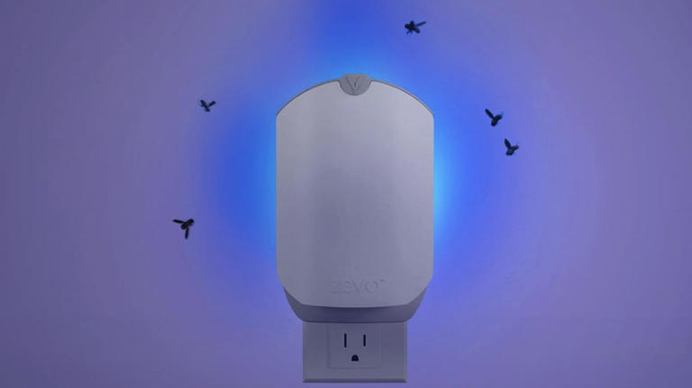 Banish flying ants from your home with a better solution from Amazon