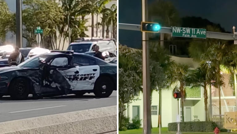 Hit-and-run suspect who injured deputy in Fort Lauderdale arrested, BSO ...