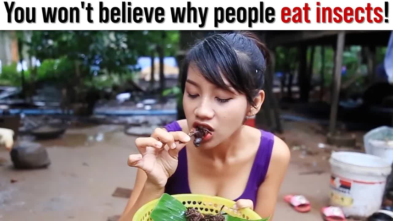 You won't believe why people eat insects!