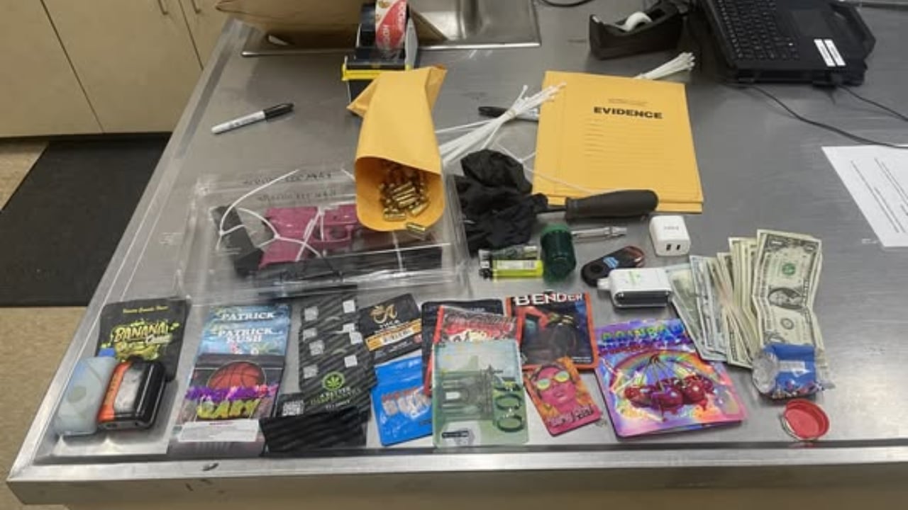 Huntersville police charge juvenile after stolen vehicle pursuit ends ...