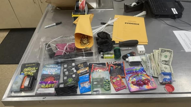 Huntersville police charge juvenile after stolen vehicle pursuit ends ...