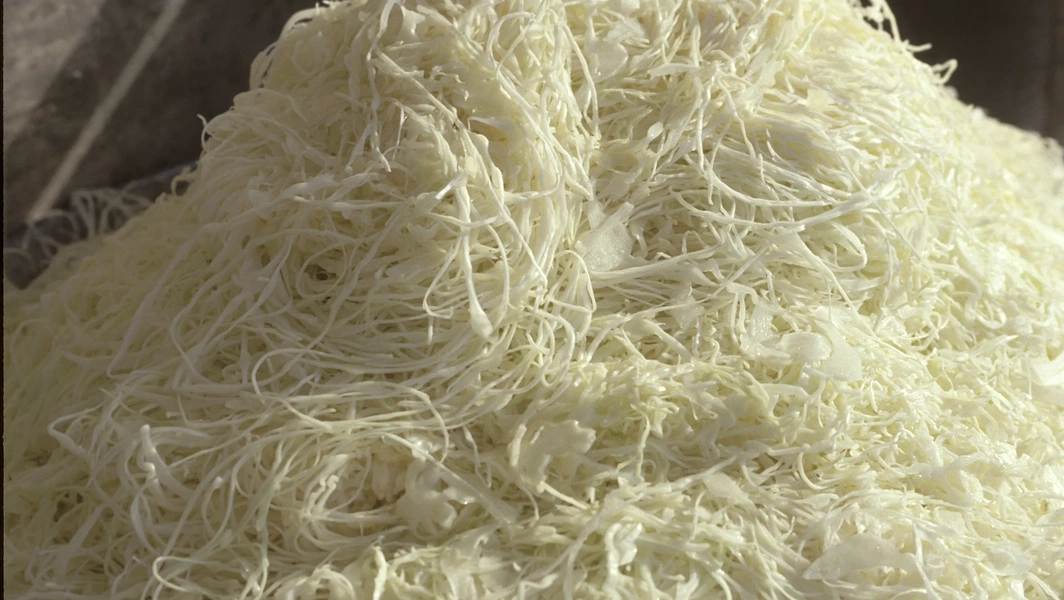 Cabbage dishes worth your attention