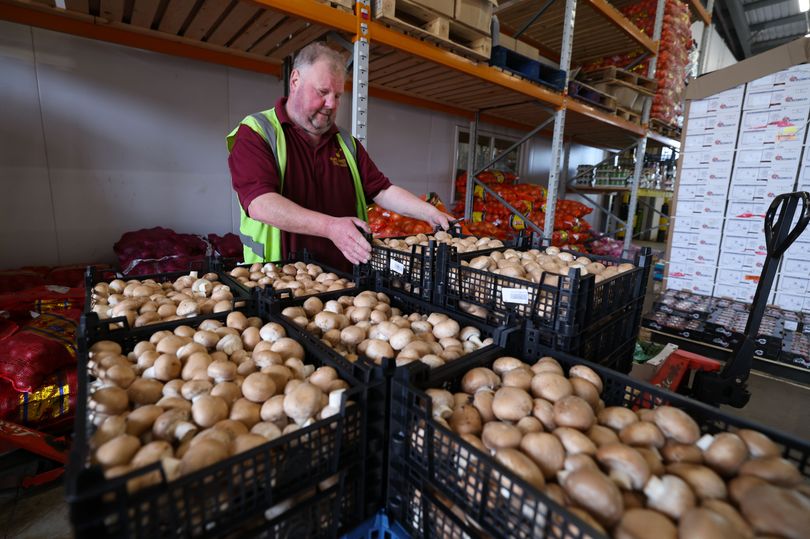 Liverpool’s wholesale market enjoying new era after 167 years