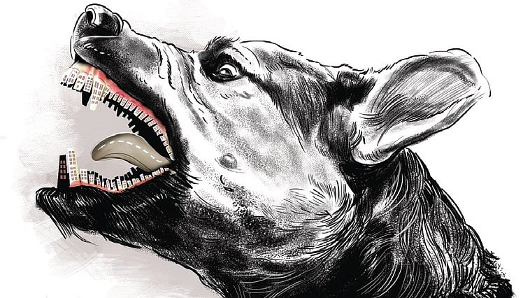 Rabies affected stray dog attacks 20 people in Kerala's Kollam