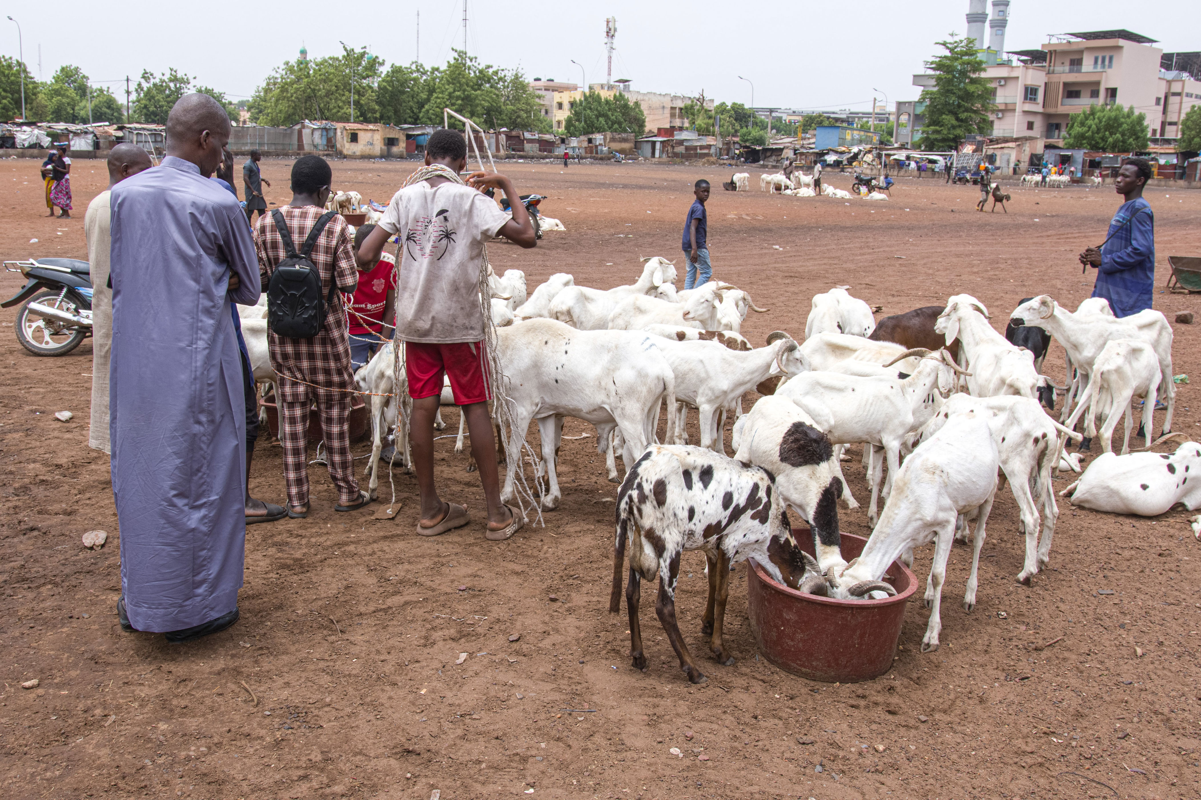 Mali Eid: