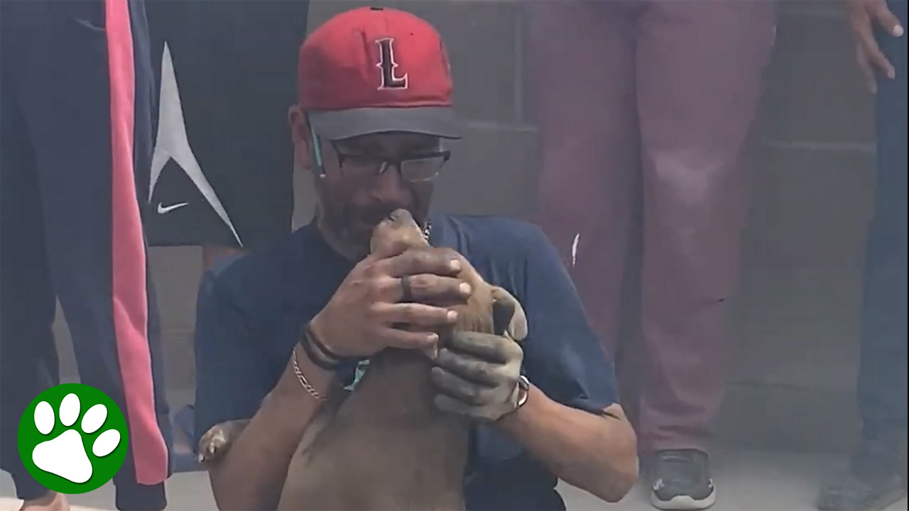 Man has emotional reunion with dog rescued from burned down home - Canine Emotional Needs