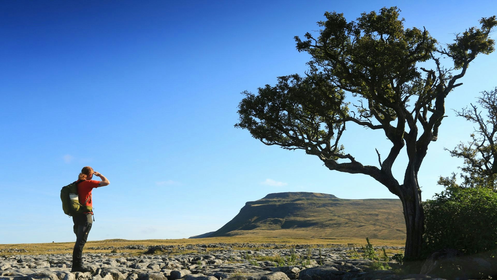 ingleborough