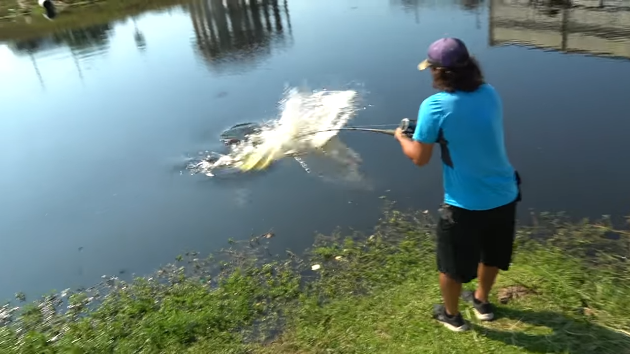 They thought it was just a muddy water… Until biggest fish in the canal ...