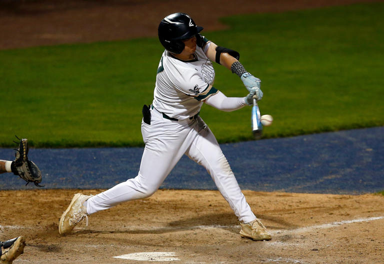 District 11 3A baseball final photos: Notre Dame vs. Allentown Central ...