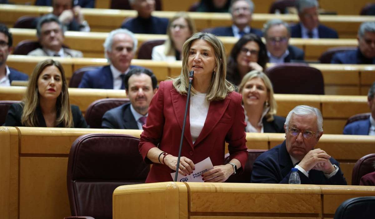 PNV y Junts votan en contra de la moción del PP en el Senado y abrazan ...