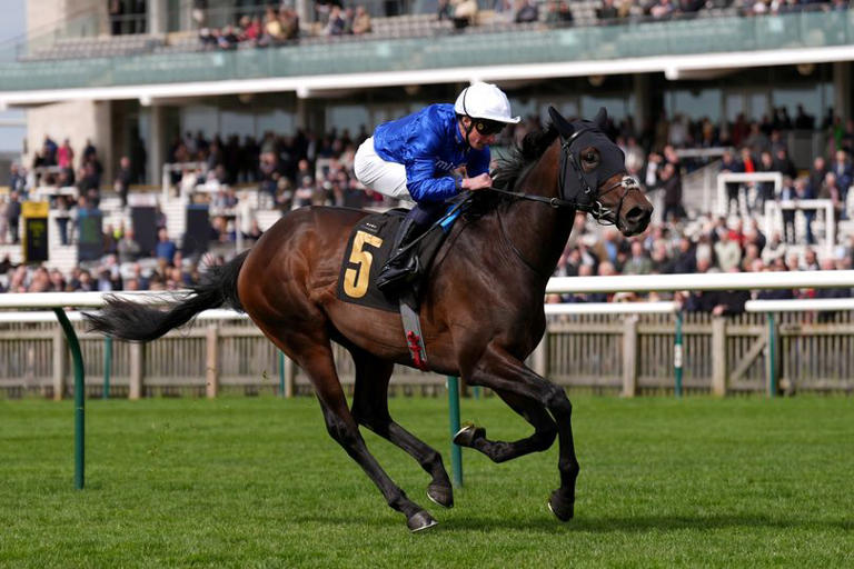 Charlie Appleby's colt to star at Sandown - Jason Heavey's racing tips ...