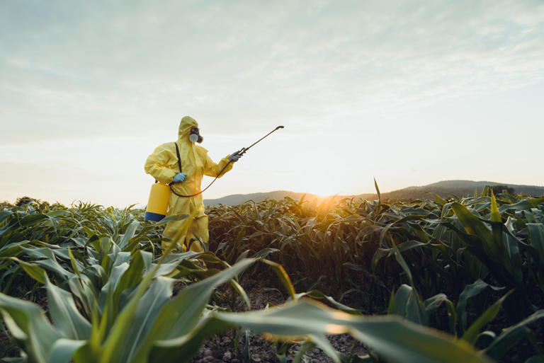 'Highly toxic' herbicide gets first state ban. Will Florida follow?
